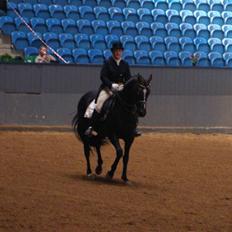 Fuldblod (XX) Secret Destination