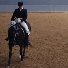 Fuldblod (XX) Secret Destination