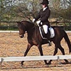 DSP Nørlunds Eileen *Væk* :(