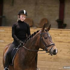 Tysk Sportspony Dolce *B-pony* Solgt :'(