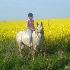 Anden særlig race Athene