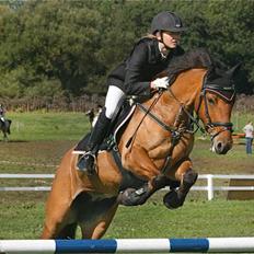 Hollandsk Sportspony Naomi - SOLGT -