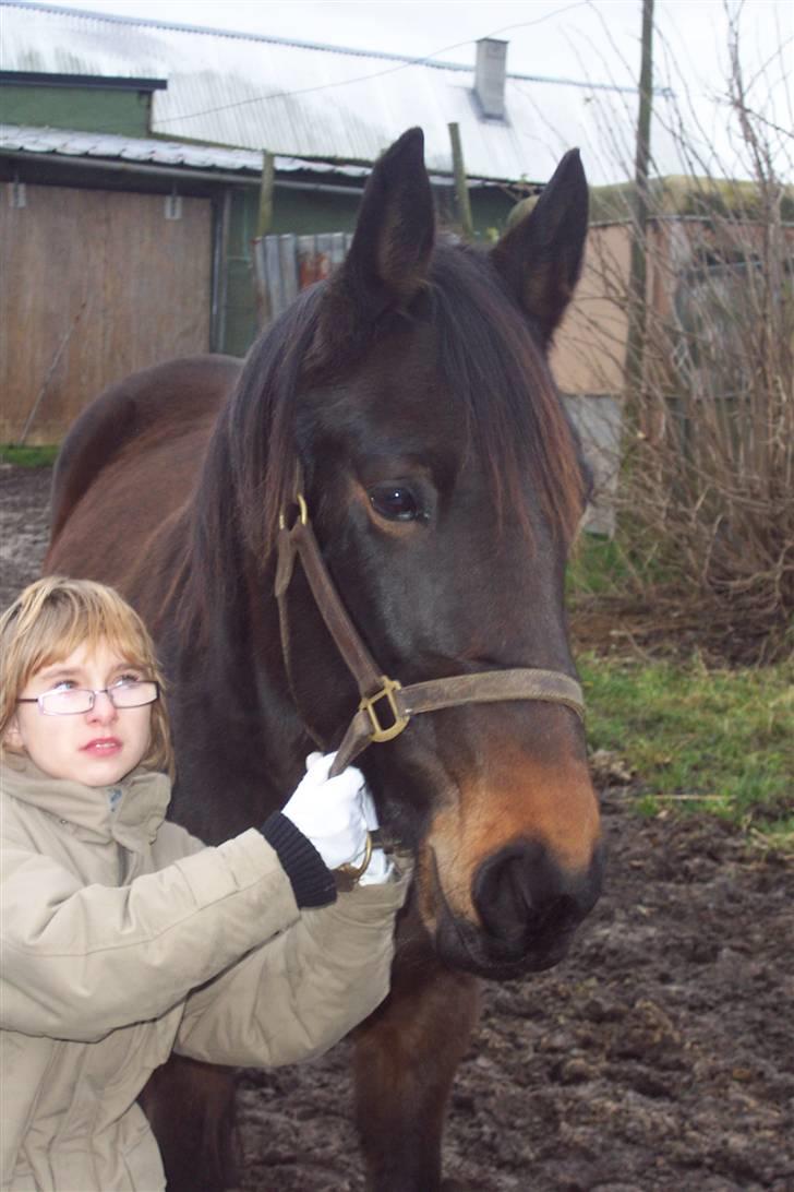 Traver Ginger magnum *'solgt** -   hej med jer billede 16