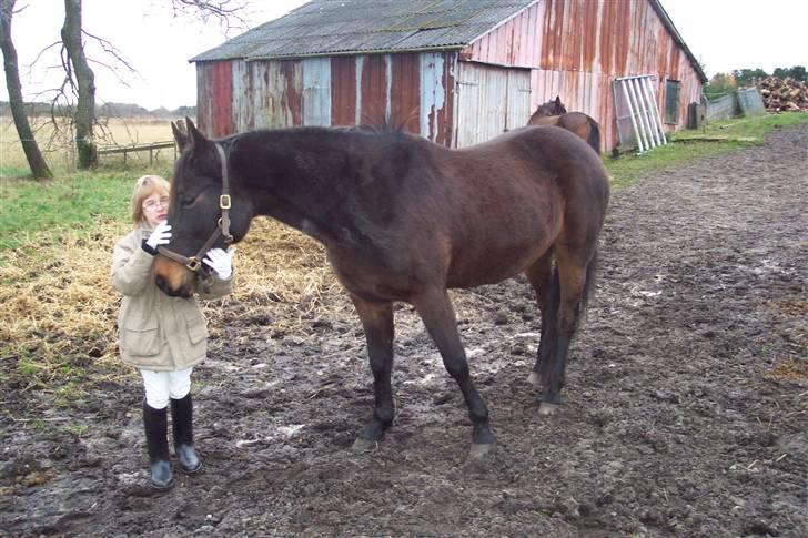 Traver Ginger magnum *'solgt** - jaja  lige det det er dejlige billede 18