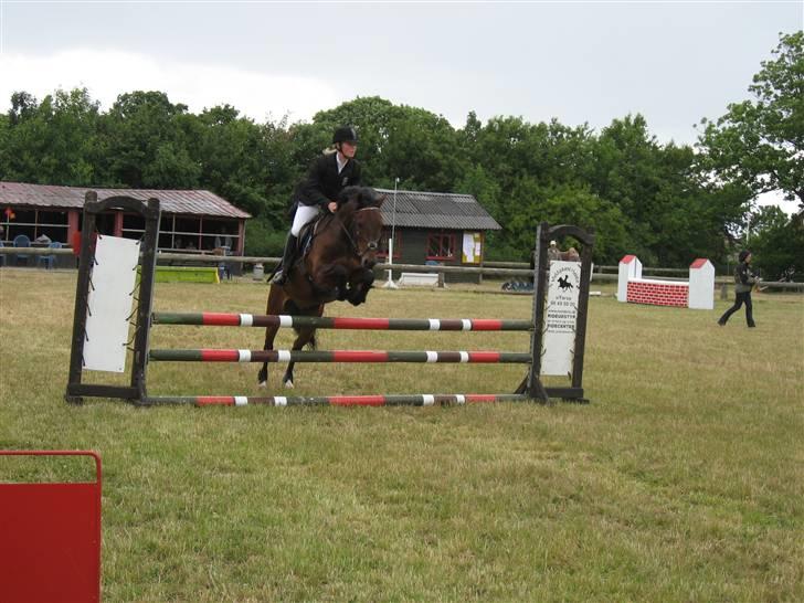 Welsh Pony (sec B) Bakkegaardens Prins-solgt - Til Hyllebjerg stævne hvor jeg vandt 1.pl og en 2. pl i LB Spring. billede 14