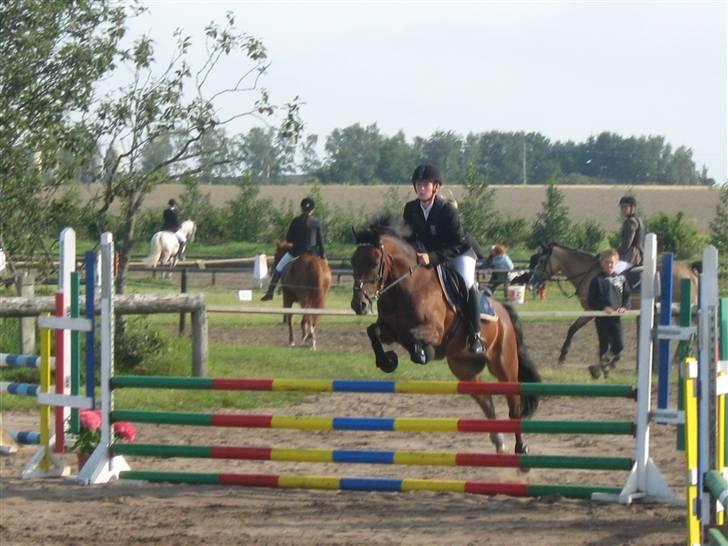 Welsh Pony (sec B) Bakkegaardens Prins-solgt - C-stævne i Hornum..  billede 15