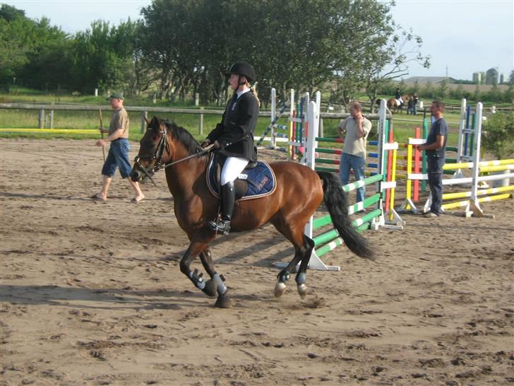 Welsh Pony (sec B) Bakkegaardens Prins-solgt - C-stævne i Hornum.. Så går det løs. :D billede 18