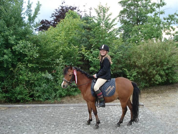 Anden særlig race Julianebjergs Fadango - Ude på fold sidste vinter. :) billede 1