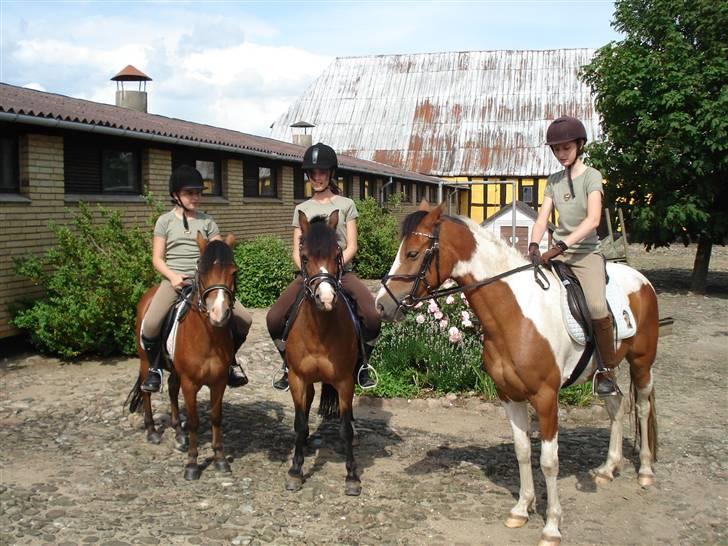 Anden særlig race Julianebjergs Fadango billede 5