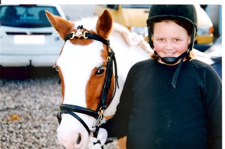 Pinto Candy  billede 1