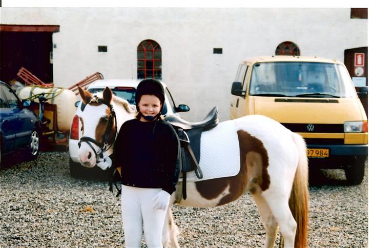 Pinto Candy  billede 2