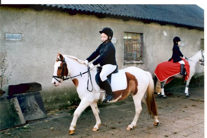 Pinto Candy  - yeees yeees, dyrk lige min smarte ridestil :D hahah billede 3