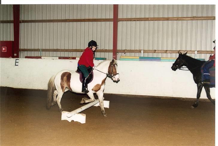 Pinto Candy  - yeeeeees, den fødte spring rytter ? :b ´ haahh billede 4