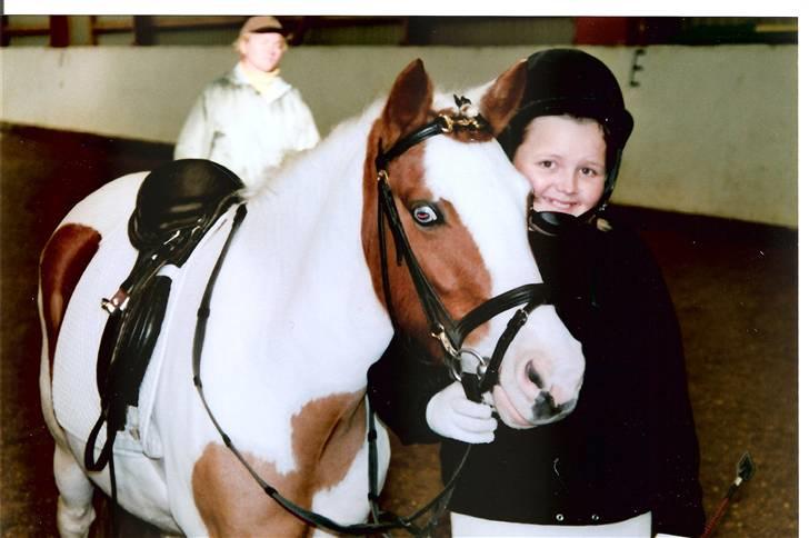 Pinto Candy  billede 6