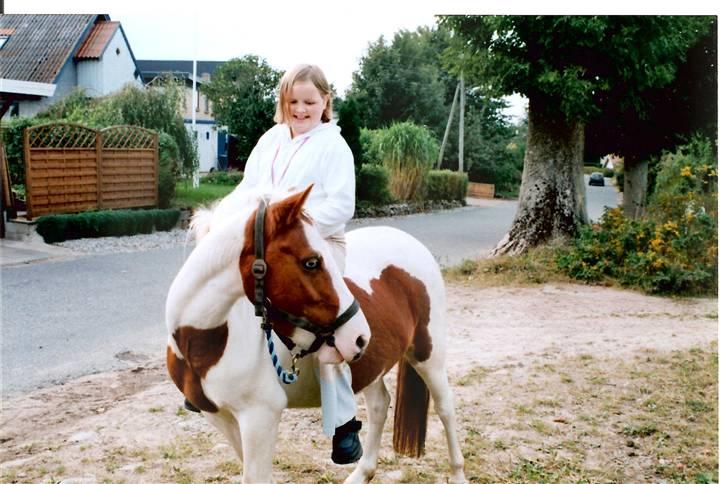 Pinto Candy  - Smarte bukser ? :b grr. billede 7