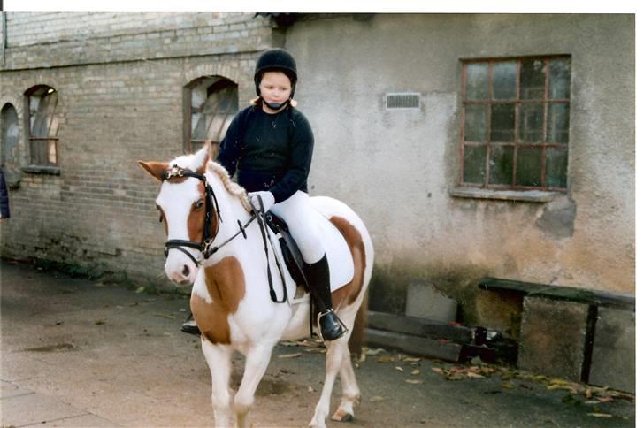 Pinto Candy  - yees yees, ikke mobbe mig :D jeg var kun ti :b billede 8