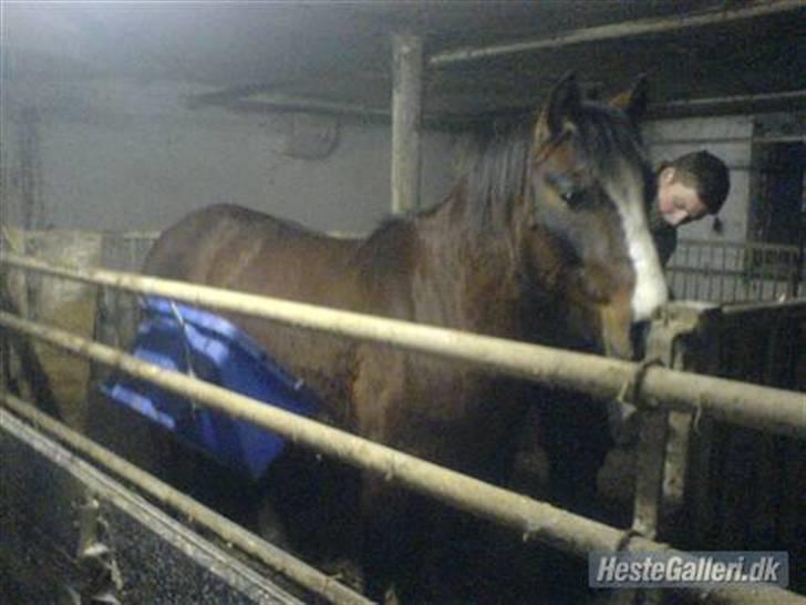 DSP Capone billede 4