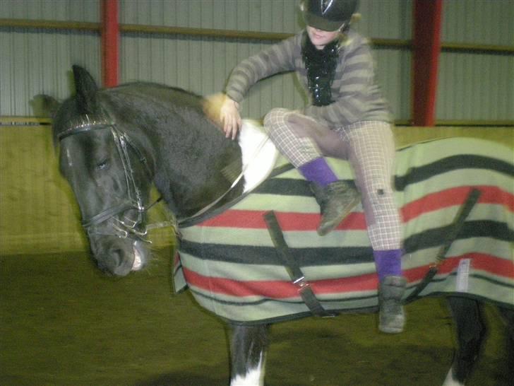 Pinto Freja SOLGT - #18 Jeg skridter lidt på freja[o: & Freja leger lidt med bidet xop  billede 18