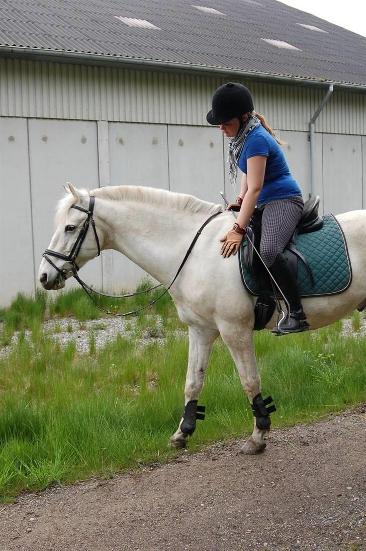 Anden særlig race Winner [Tidligere part] - Klap-klap <3 Taget af Nanna den 30. april 2008. billede 13