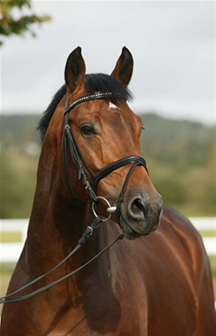 Oldenborg Talismann Nygaard *R.I.P* billede 1
