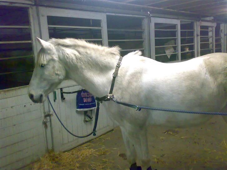 Anden særlig race Winner [Tidligere part] - Nysgerrige dreng <3 billede 14