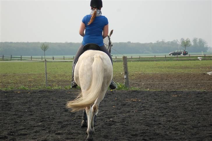 Anden særlig race Winner [Tidligere part] - Bagfra :D Taget af Nanna den 30. april 2008. billede 15