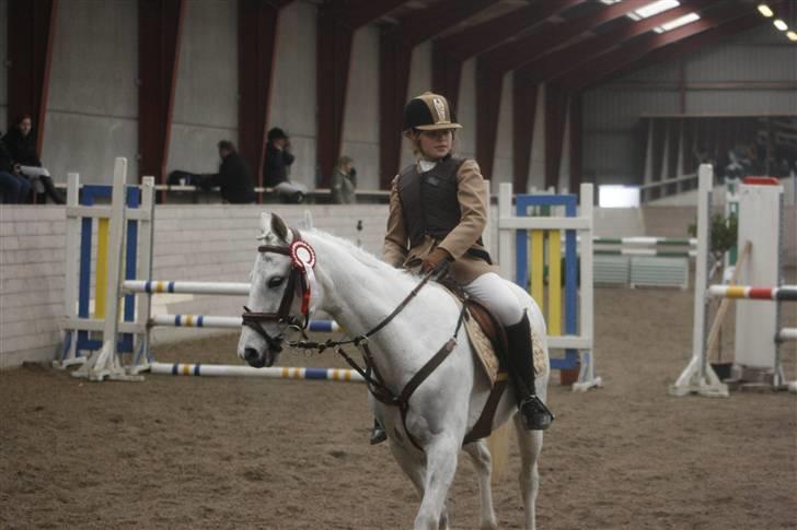 Anden særlig race Snowflake billede 1