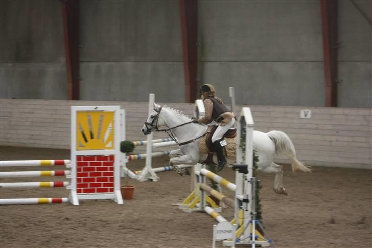 Anden særlig race Snowflake billede 3