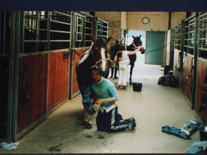 Pinto Sandy  ¤SOLGT¤ - Stævne i HIRI, skal til at gøre klar til at køre hjem<3 Hun var MEGA sød<3 billede 12