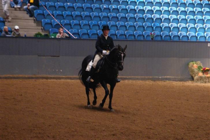 Fuldblod (XX) Secret Destination billede 1