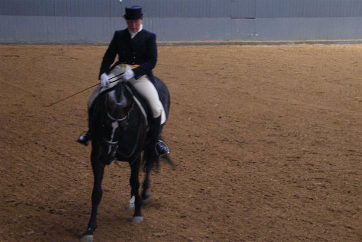 Fuldblod (XX) Secret Destination billede 2