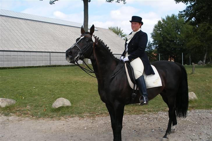 Fuldblod (XX) Secret Destination billede 3