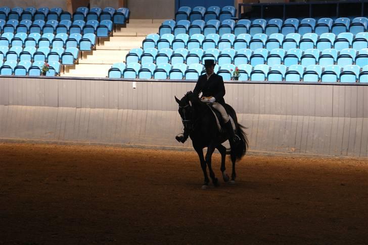 Fuldblod (XX) Secret Destination billede 4