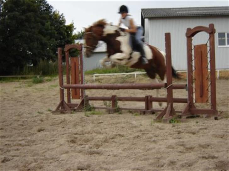 Anden særlig race Fillizante - Se Vi Springer. Waauv :b ej hun Elsker det Bare  billede 8