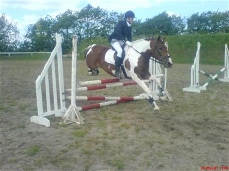 Anden særlig race Fillizante - det er så sødt det der kaje spring :D  billede 10