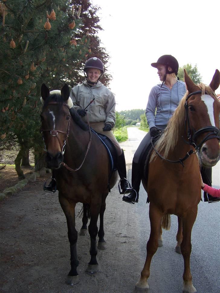 Fuldblod (XX) Nan Greaves billede 17