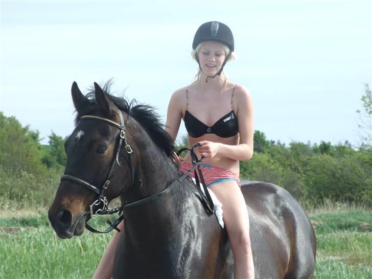 Oldenborg Baily  - Hej! :D  Baily på stranden d. 12/5-08 (smukt udtryk jeg har, ikke ? xD) Foto MF billede 1