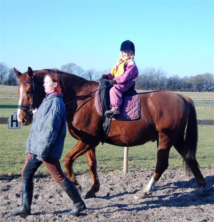 Hollandsk Varmblod OLEANDER - udf. frabedes! - Ole, Iben og min faster;) d. 13/2-09. billede 19