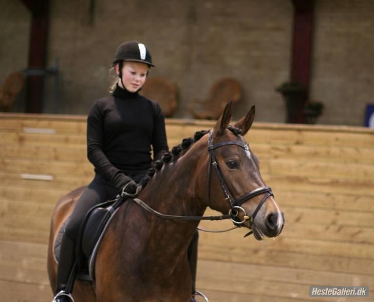 Tysk Sportspony Dolce *B-pony* Solgt :'( - Velkmmen til prinsessens profil. Smid da gerne lige en bedømmelse & en kommentar på vejen. (; ♥ billede 1