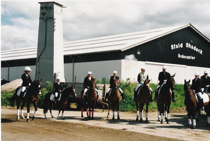 Welsh Mountain (sec A) Oliver *Solgt* - Ringridning. Fra højre: Kathrine på Ib,Oliver og jeg,Mimi og Rapsody,Marianne,Liselotte,Anne og Triumph,Susanne og Tempo og Annemette. Foto: Min Mor billede 12