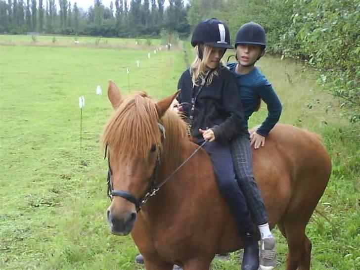 Islænder <3 Toke <3 :´) - to aber på en pony <3 billede 7