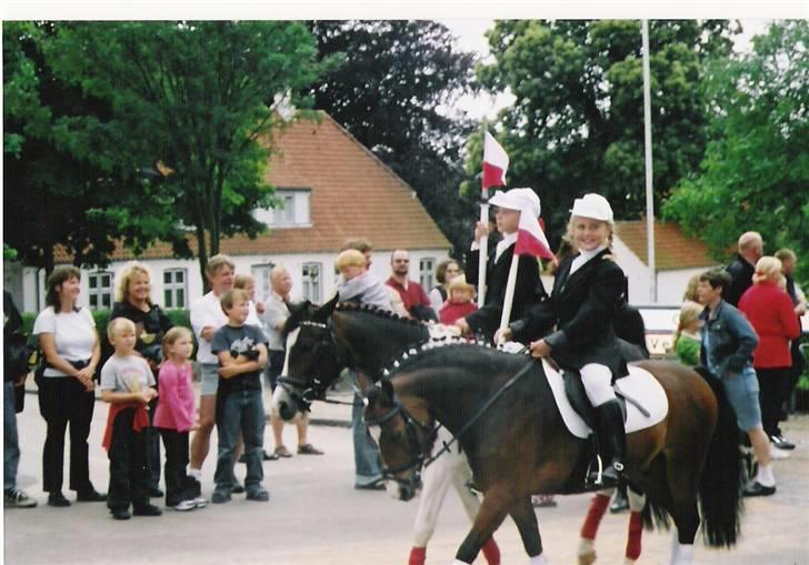 Welsh Mountain (sec A) Oliver *Solgt* - Optog i Broager. Sammen med Lisa og Ida :-)) billede 13