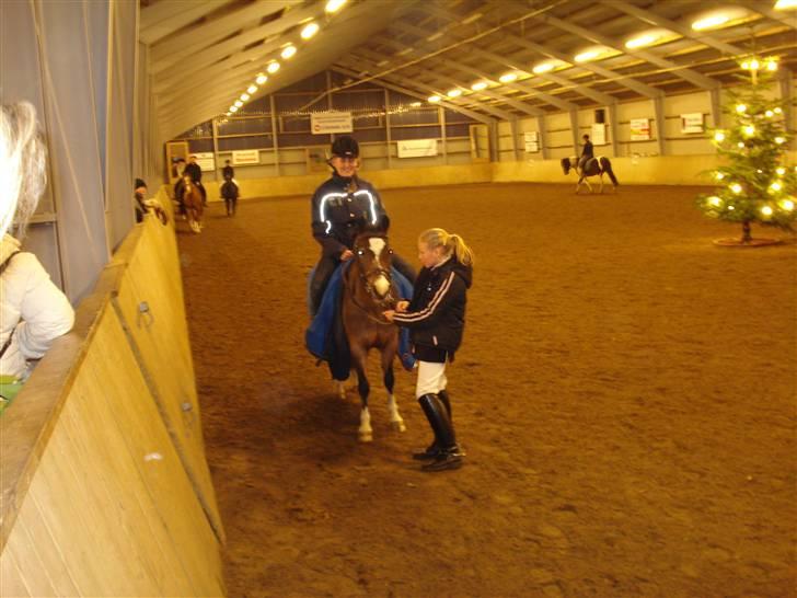 Welsh Mountain (sec A) Oliver *Solgt* - Oli, Katrine(Nuværende ejer) & Jeg. Fik lov at skridte ham efter de havde været til stævne. De vand LC2 med 66% billede 19