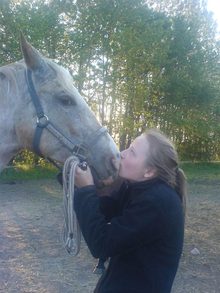 Anden særlig race Athene billede 4