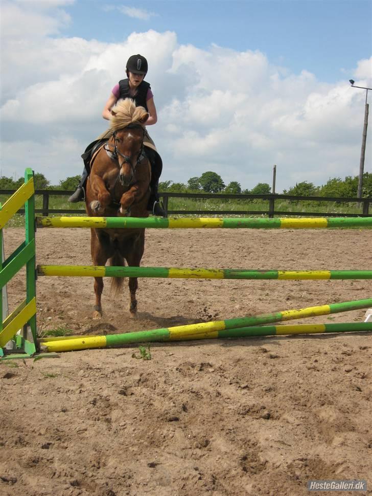 Anden særlig race Andrea <3 - Gl. Part :'/ billede 9