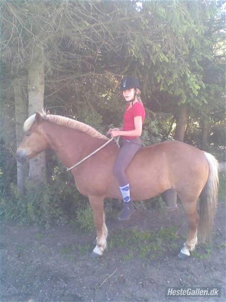 Anden særlig race Andrea <3 - Gl. Part :'/ - Hmm.? :) billede 10