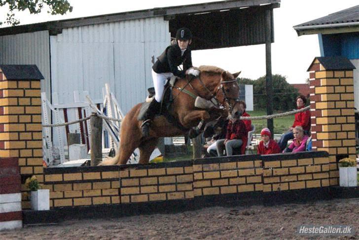 Anden særlig race Andrea <3 - Gl. Part :'/ - Nibe cup. billede 11