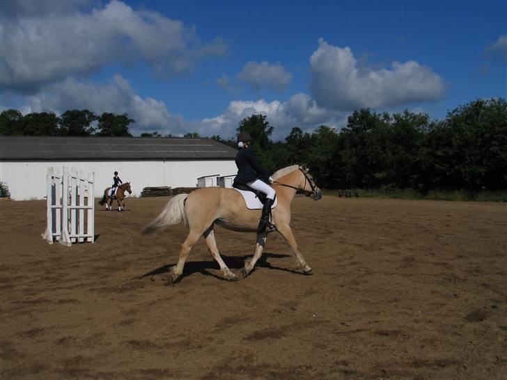 Fjordhest Pauline <3! [ Gl. part] - Pauline og jeg til opvarmning til et stævne. Fotograf: Nanas Farfar billede 11