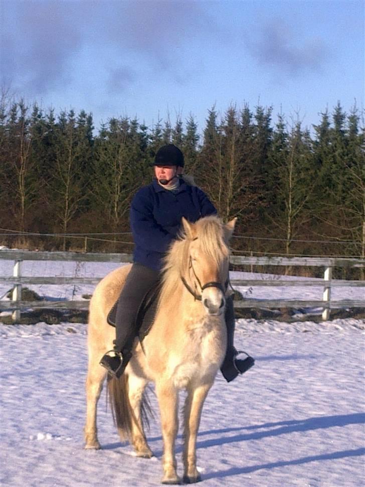 Fjordhest Valde  ***DØD*** - Valde og jeg billede 5