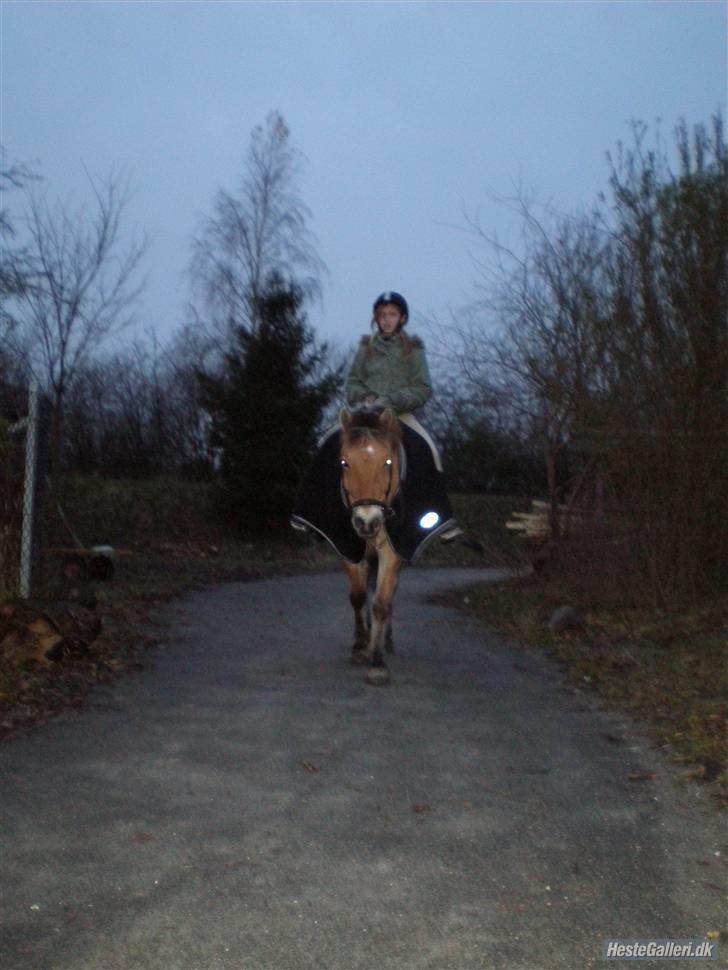 Anden særlig race Tyson <33   - mig & tysse der er ved at skridte af i andegården foto: niko billede 8